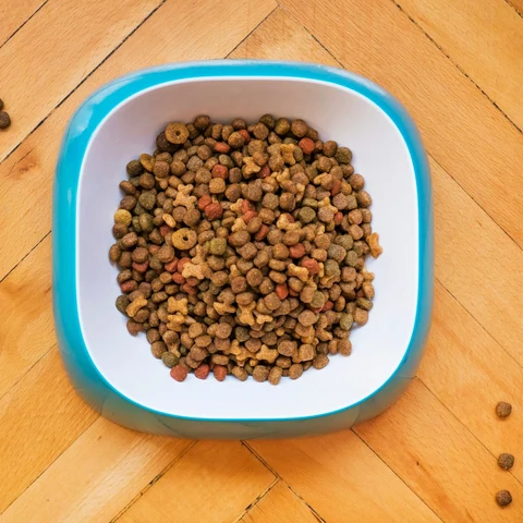 Tahılsız Kuzulu Köpek Maması kullanımda - Fauna Pet