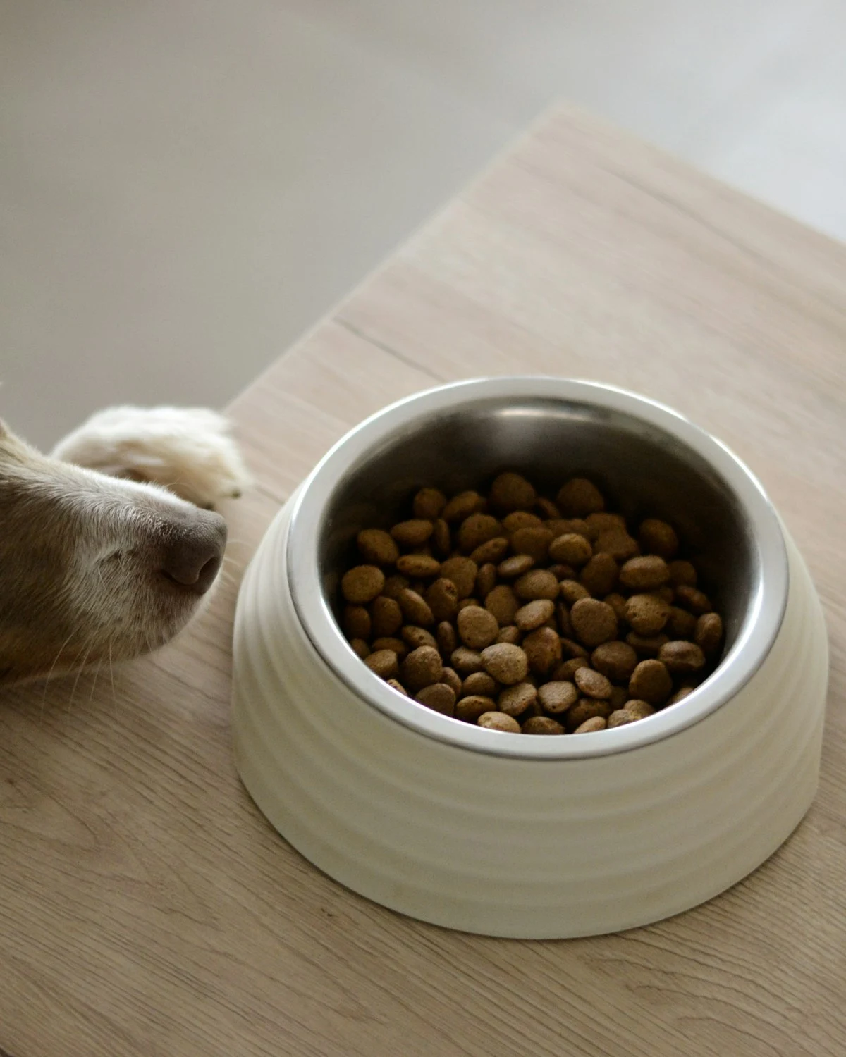 Tahılsız Somonlu Köpek Maması - Fauna Pet