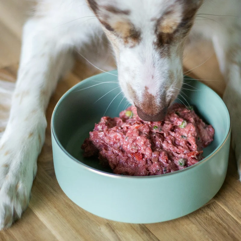 Taze Pişmiş Hindili Köpek Menüsü