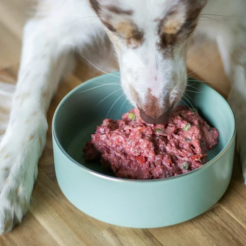 Taze Pişmiş Hindili Köpek Menüsü - Fauna Pet
