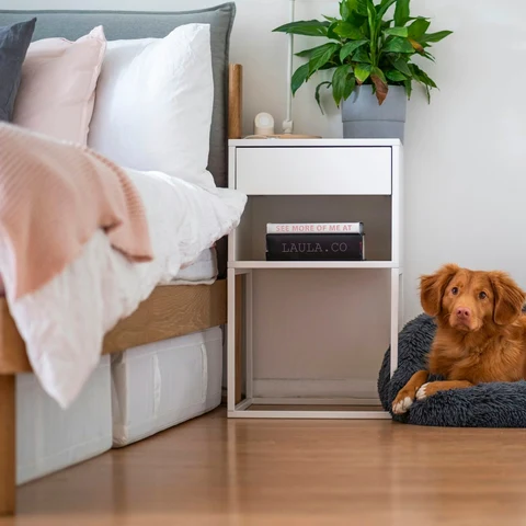 Keten Kılıflı Ortopedik Yatak kullanımda - Fauna Pet