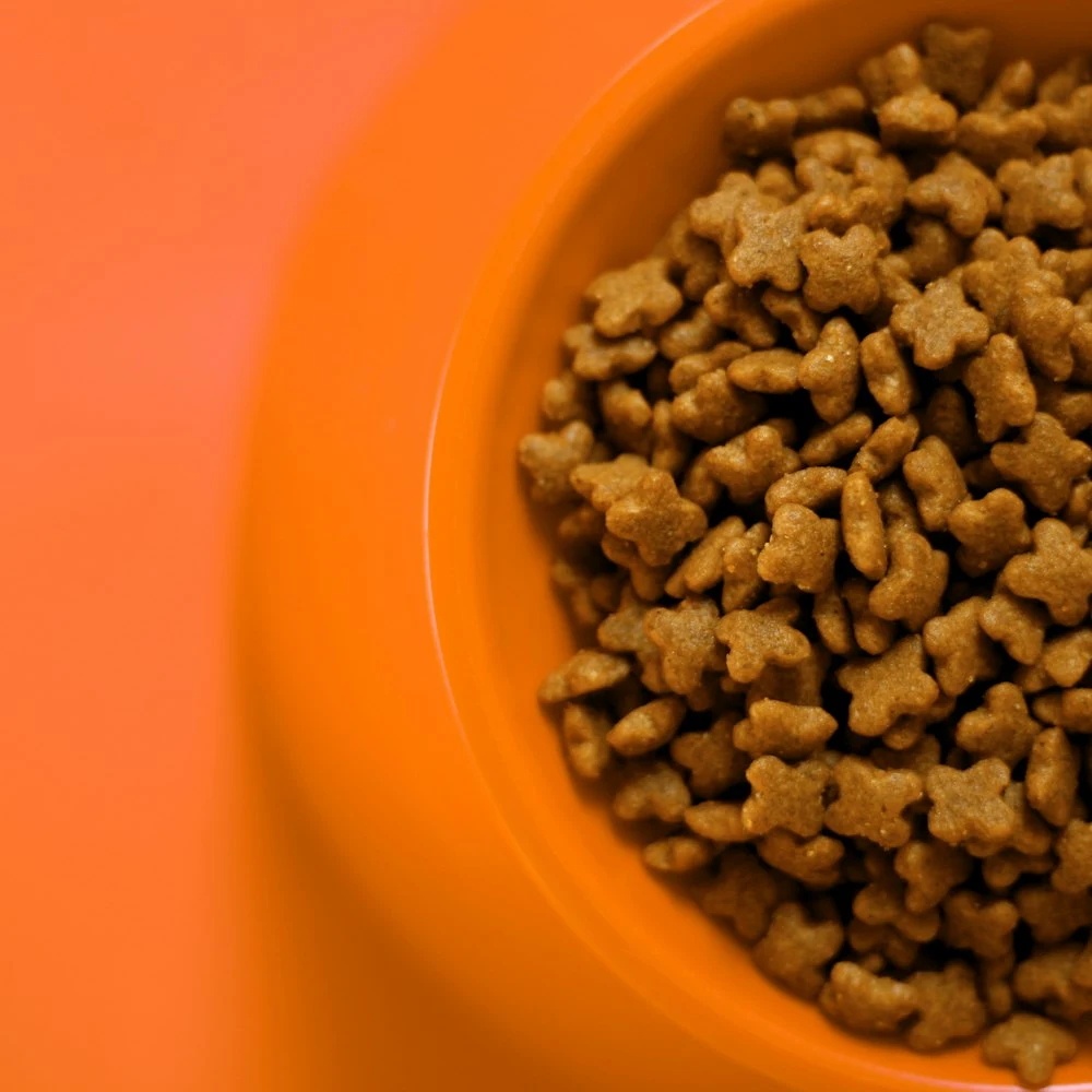 Lokmacık Tavuklu Yavru Köpek Maması
