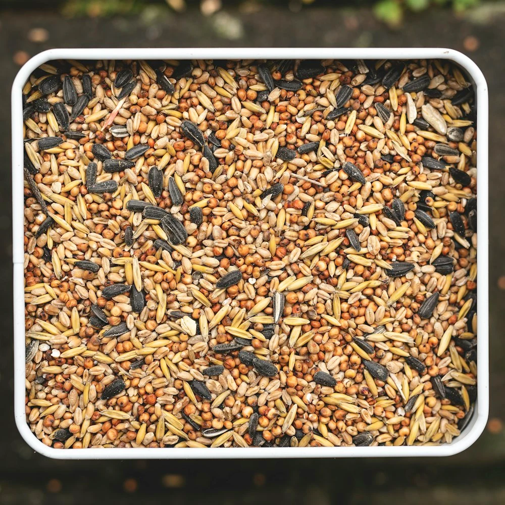 Cikcik Muhabbet Kuşu Yemi 1 kg