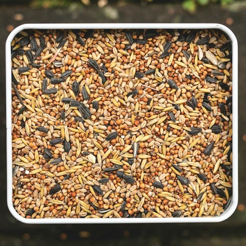 Cikcik Muhabbet Kuşu Yemi 1 kg