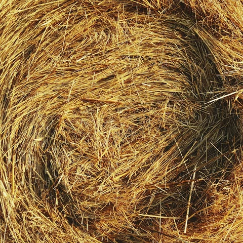 Fındık Kuru Yonca Otu 500 g