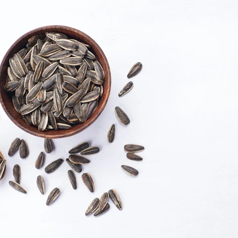Cikcik Meyveli Papağan Yemi 750 g