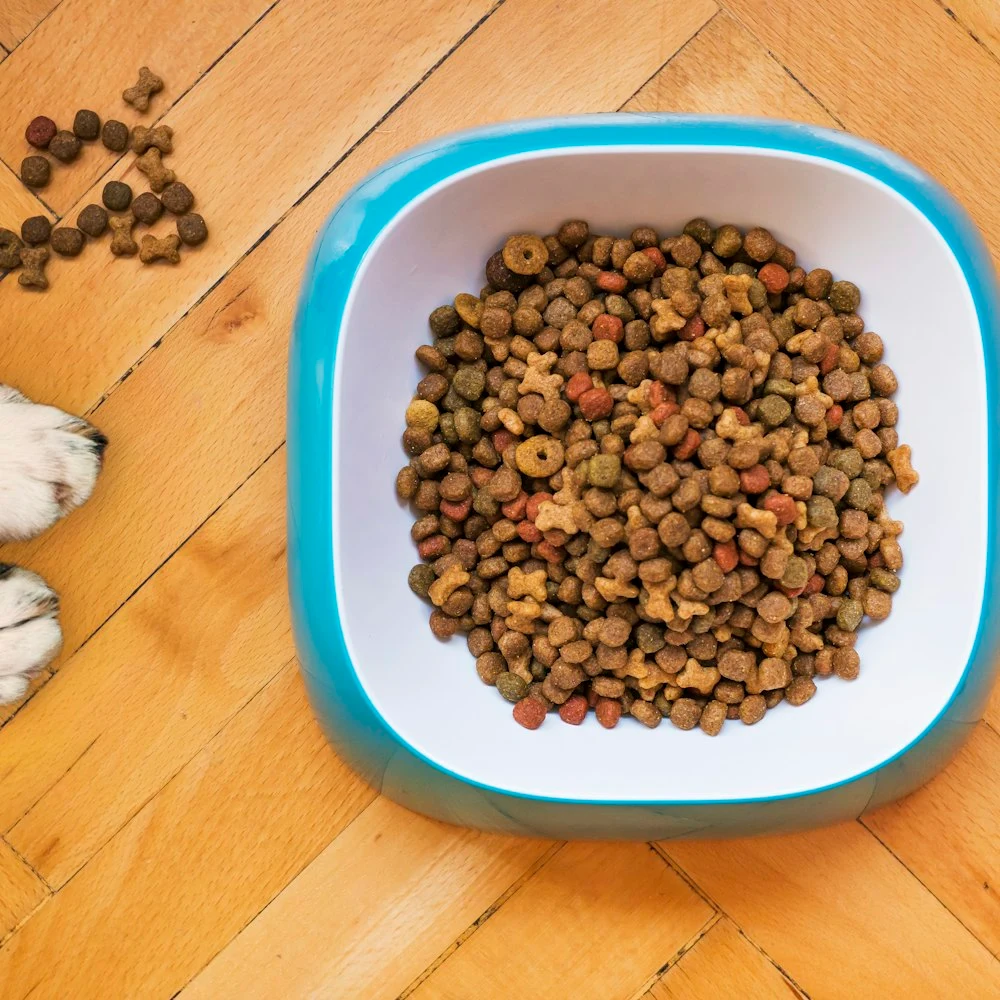 Doğal Kap Tahılsız Somonlu Köpek Maması