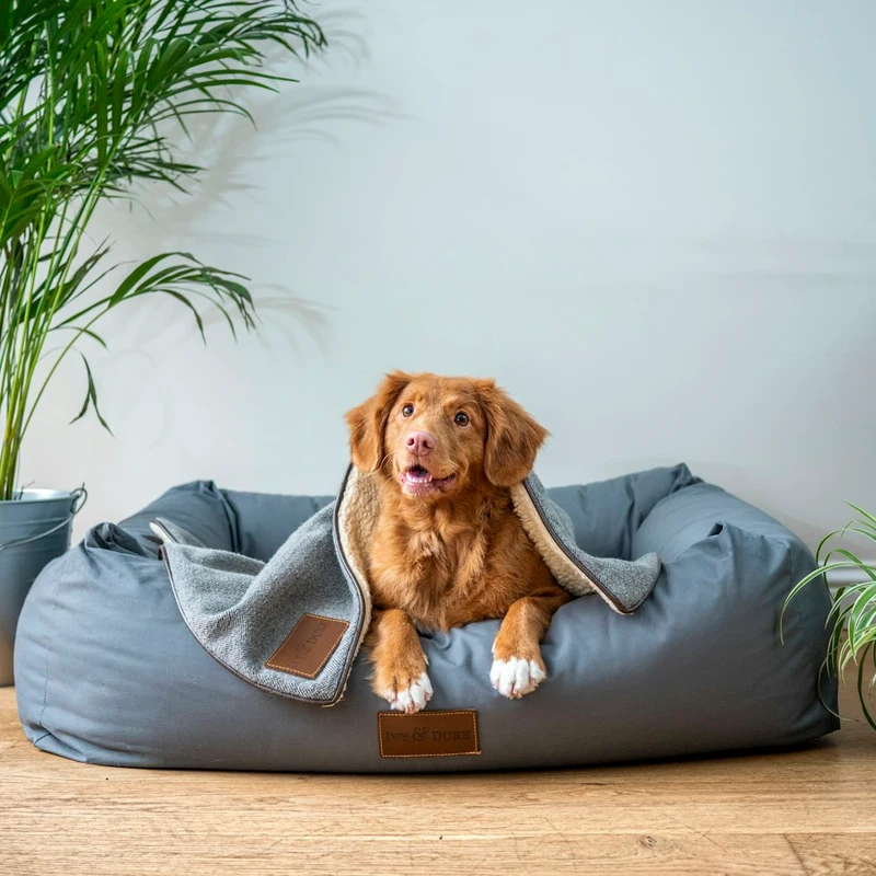 Ortopedik Köpek Yatağı Gri