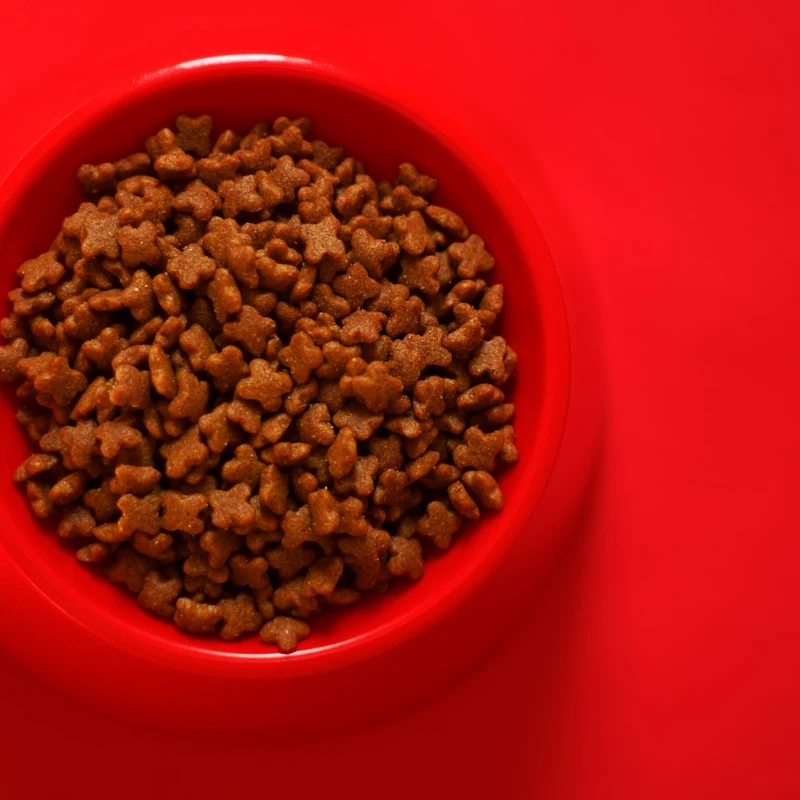 Kuzulu Yetişkin Köpek Maması