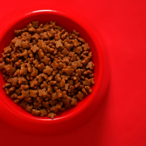 Lokmacık Kuzulu Yetişkin Köpek Maması