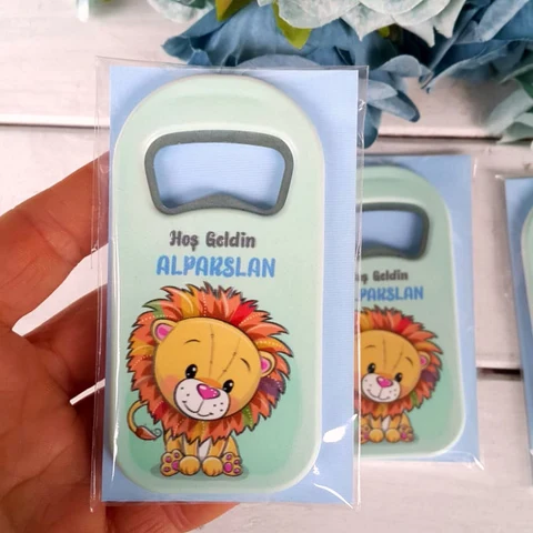 Aslan Konsept Açacak Magnet