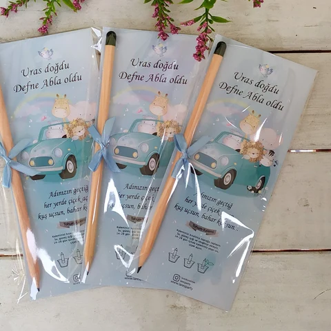 Hoş Geldin Bebek Hediyesi Tohumlu Kalem