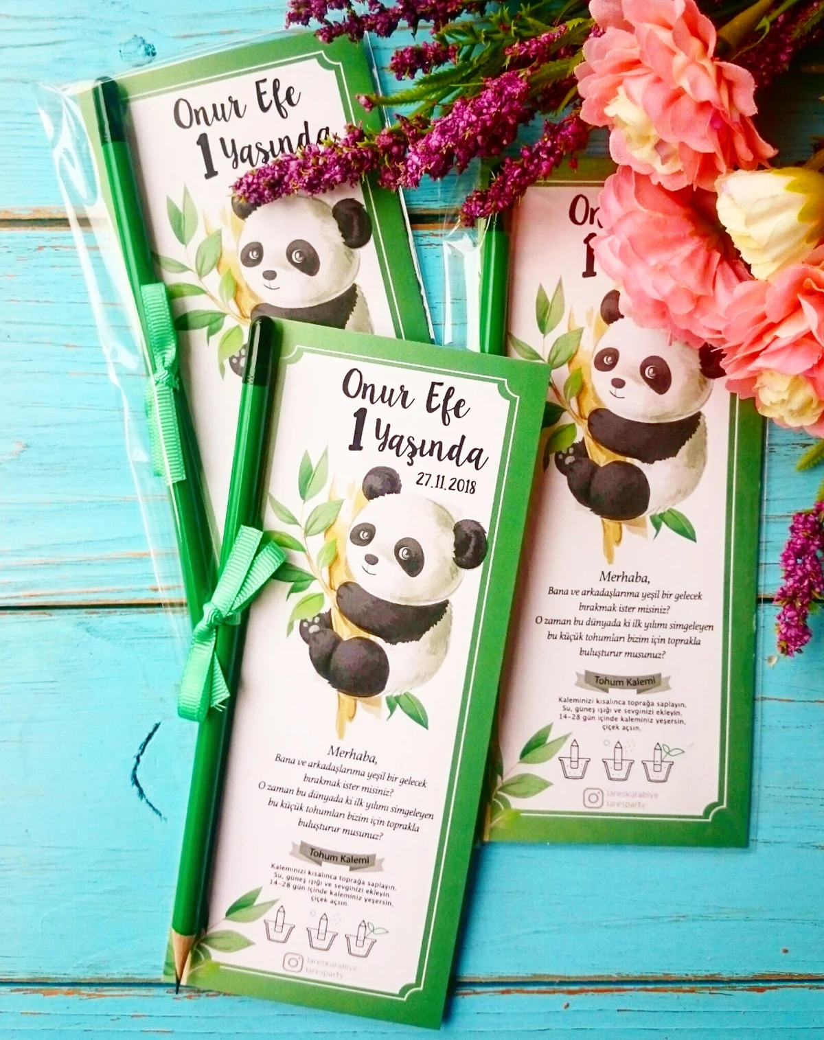 Panda Temalı Tohum Kalemi