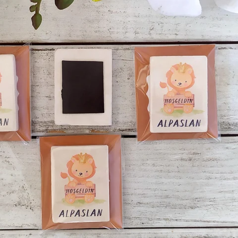 Aslan Tema Taş Magnet