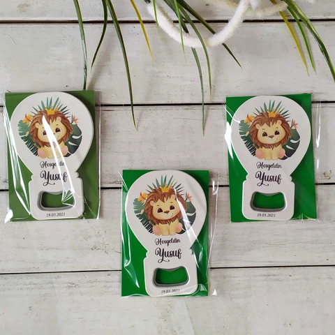 Aslan Konsept 50 Çikolata 25 Balon Açacak Magnet