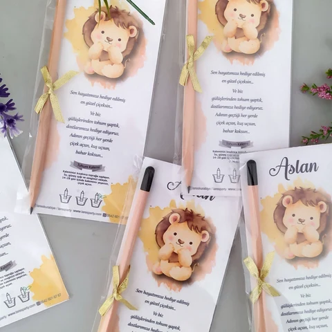 Aslan Tema Erkek Bebek Tohum Kalemi