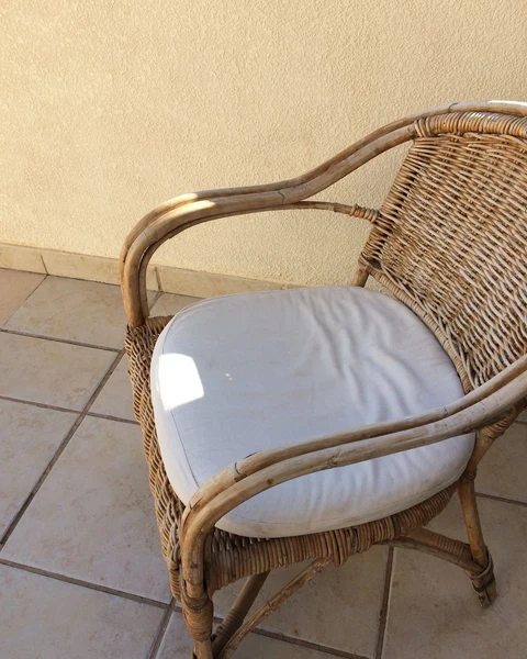Rattan Bahçe Koltuğu